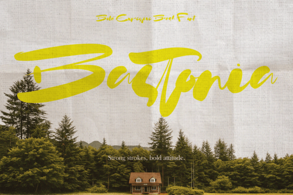 Bastonia: A Bold Font for Business Branding